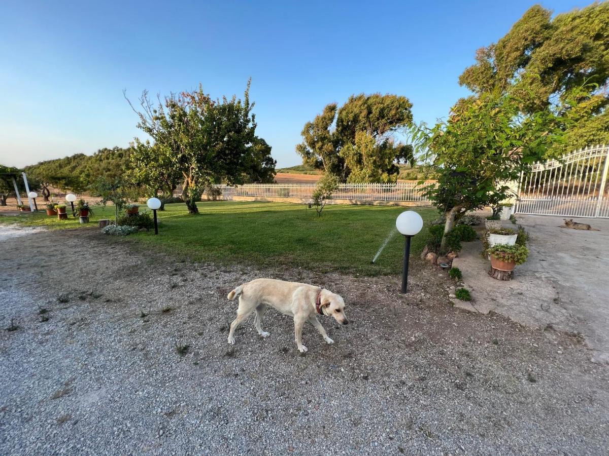 The Arches House Bed And Breakfast Iun F1092 Alghero Eksteriør bilde